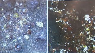 First peek at Chang’e-5’s lunar samples