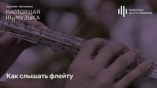 Иван Бушуев. Как слышать флейту.