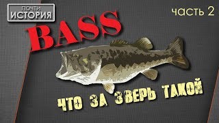 Большеротый окунь / BASS - от икринки до поимки...  (Micropterus salmoides) - часть 2