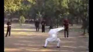dragon form kung fu