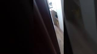 Спалилась при записи видео для лайка