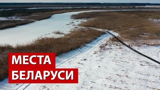 Белорусские болота. Зачем сюда едут иностранцы? // Споровский заказник. Видео с дрона