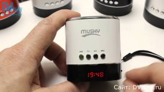 Musky HJ-88 - мини акустика, FM-радио, USB и SD.