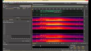 Интеллектуальное редактирование звуковой дорожки в ADOBE Audition