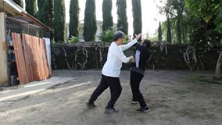 內家的真正內涵和原則 Unveiling the real neijia (Internal Arts) principles: Gao Style Bagua, Xing Yi, Tai Ji