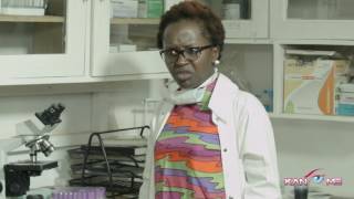 Break it down for me! Kansiime Anne.  African Comedy