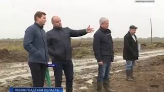 Мелиорация. Ленинградская область