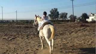 Little girl rides horse like pro