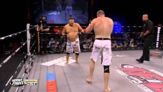 Roy Nelson vs Brad Imes