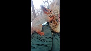 Ловлю Ушастика у себя на голове / I catch Ushastik on my head