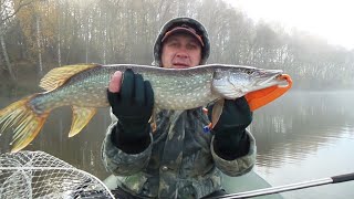 Рыбалка на щуку, платный водоём д.Яново.