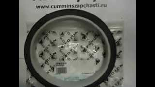 Сальник коленвала задний Cummins 3968563