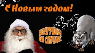 Дед Мороз - Новогоднее поздравление - от Зверушки на Опушке (Новый год 2020)