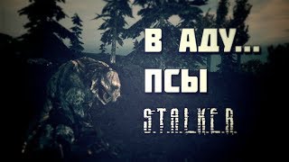 В Аду... Псы. Новый мод на СТАЛКЕР. Установка. Вступление[RP].