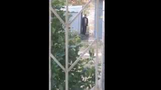Бомж, инцест! А мы тут писяем XD