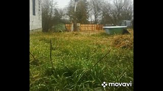 Эндоскоп для рыбалки , изменение фокусного расстояния , cтоит ли заморачиваться  .