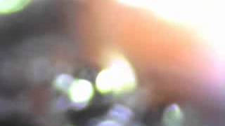 Vore Cam 21