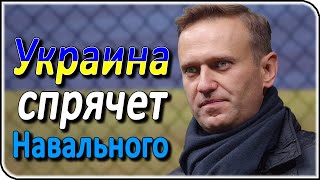 Политическое убежище Навальному