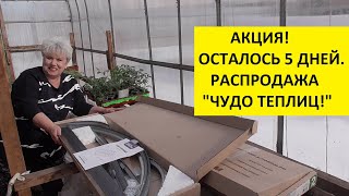 Весенняя распродажа Чудо теплиц! Успейте купить со скидкой!