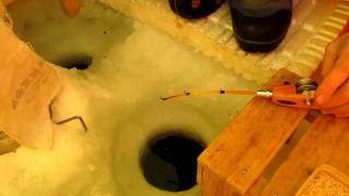 氷上ワカサギ釣り・時速60匹の10分間