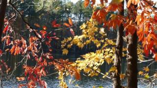 Private Video: Power of Imagination