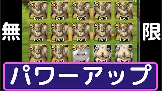 【dqmsl】ブオーン４＋４　〜無限パワーアップ〜　がんせきおとし、アンカーナックル強化作戦　もみけんの凡ミス動画【ドラゴンクエストモンスターズスーパーライト】