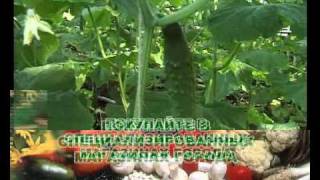 Минеральный комплекс ПАРНИК