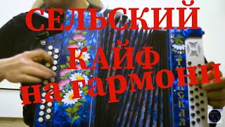 Сельский Кайф(Сектор Газа, кавер под гармонь. Делать нечего в селе, мы сидим на веселе)