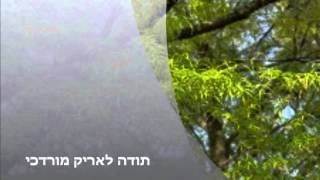 NASHDIDAN NIZAMET MILLITYE נאשדידן ניזמט מיליטייה