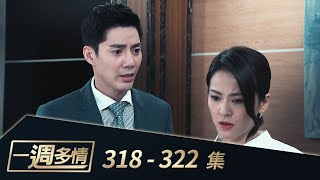 一週多情 EP318 - 322｜驚爆私生子！成皓董座不保？！