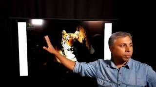 Photography Chat - High Key & Low Key Images