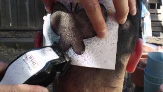 Hair Tattoo Experiment