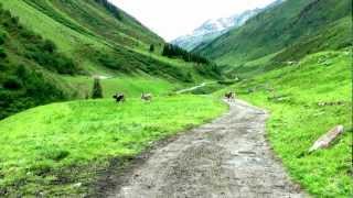 Eine Wanderung in Pitztal