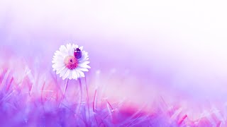 Emotional Detox | 432Hz Healing Frequency | Sound Healing Meditation Music | Healing For Inner peace