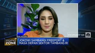 Investasi Sosial dan Rencana Green Economy PT Freeport