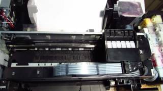 Epson L800 - во время захвата бумаги останавливается. Что делать?
