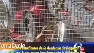 TerraCycle Vídeo en Español