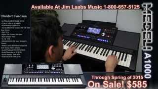 Medeli A1000 Video Demo