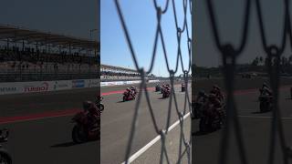 Crazy Sound on MotoGP Starting Grid! Ducati, Honda, Aprilia