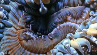 Abraham-Hicks - All is well & getting weller