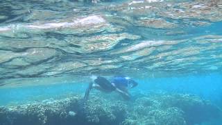 Snorkeling en Aqaba , esnórquel en Aqaba