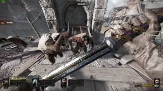 Zotac gtx 1060 - Vermintide Ultra+ settings