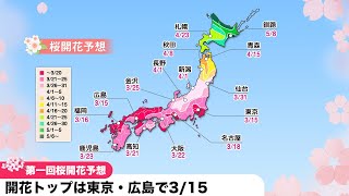 第一回桜開花予想「開花トップは東京・広島で3/15!!」