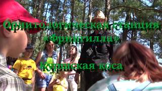 Орнитологическая станция "Фрингилла". Куршская коса.