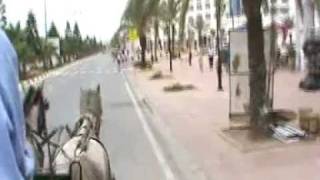 Tunis