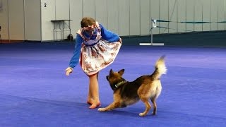 Танцы с собаками "Россия - 2015". Dog Dancing. Canine Freestyle.