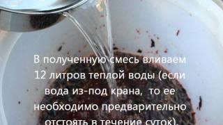 Как сделать домашнее вино