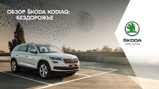Обзор ŠKODA KODIAQ. Бездорожье.