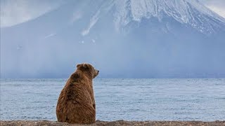 Дикая природа Камчатки: Вулканы, Долина гейзеров, Кроноцкий заповедник (HD)