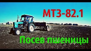 Посев пшеницы сивалкой СЗ-3.6, трактором МТЗ-82.1